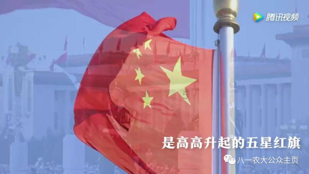 奇妙香蕉之旅